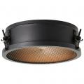 Brilliant Zois plafond 30cm
